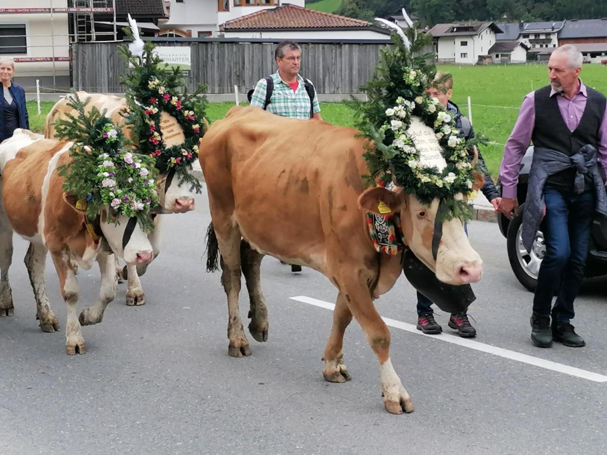 Appart Gruber Zell am Ziller Zewnętrze zdjęcie